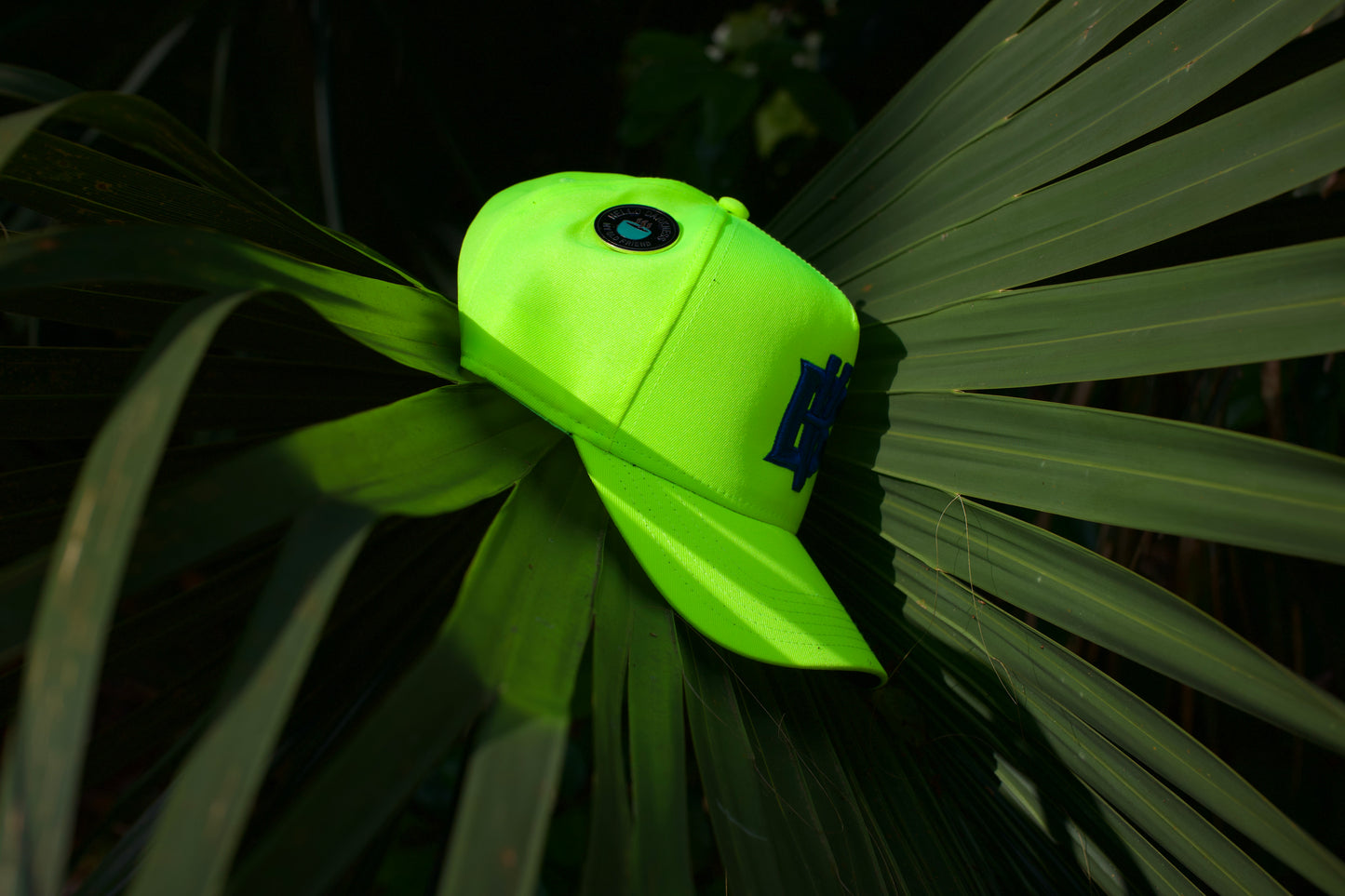 Neon / Royal BV Baseball Hat