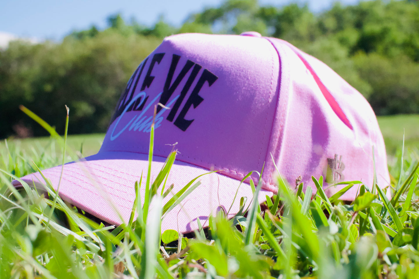Pink/White/Brown The Belle Vie Club Baseball Hat image 1