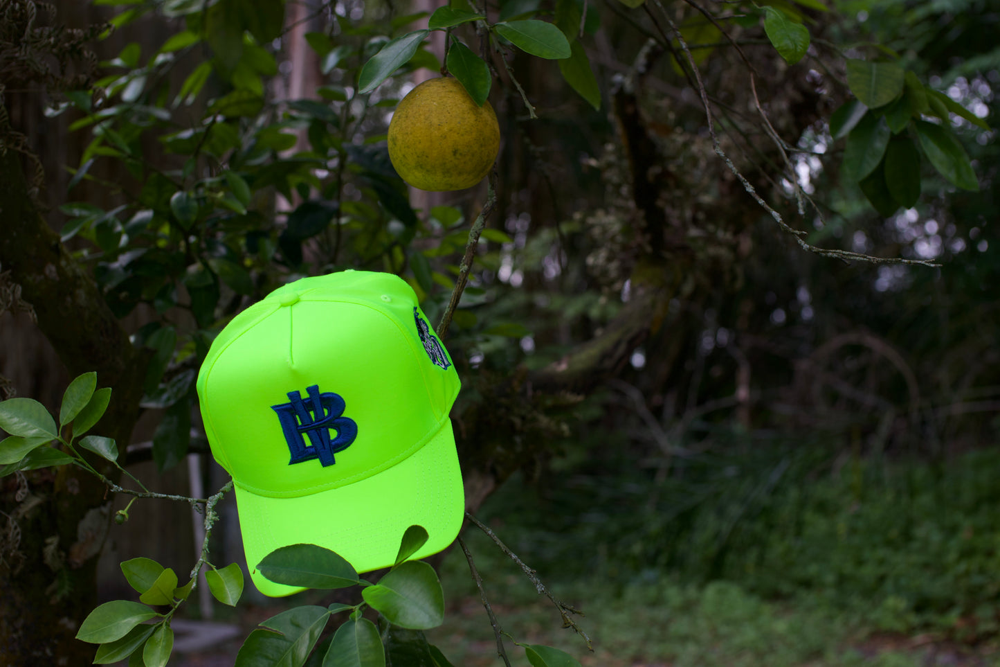 Neon / Royal BV Baseball Hat